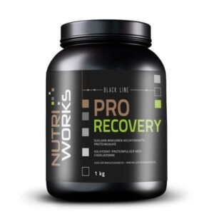 NutriWorks Pro Recovery 1000g