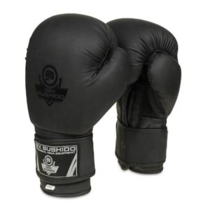BUSHIDO Boxerské rukavice DBX B-2v12