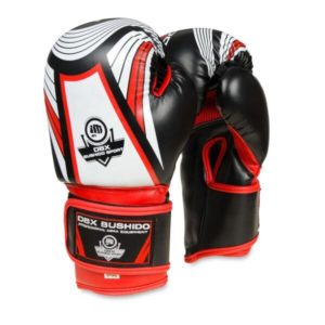 BUSHIDO Boxerské rukavice DBX ARB407v2 6 oz.