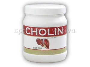 Nutristar Cholin 500 kapslí