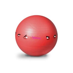 Sedco Gymnastický míč SHULAN YOGA BALL 65 cm